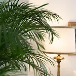 Palazzo Don Salvatore Pensionat Amalfi