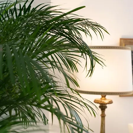 Palazzo Don Salvatore ゲストハウス アマルフィ